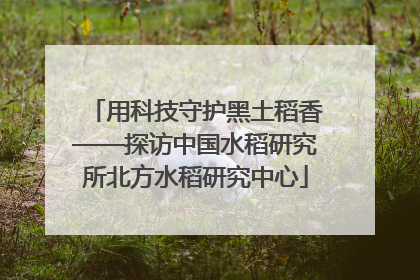 用科技守护黑土稻香——探访中国水稻研究所北方水稻研究中心