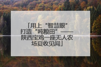 用上“智慧眼” 打造“吨粮田”——陕西宝鸡一座无人农场夏收见闻