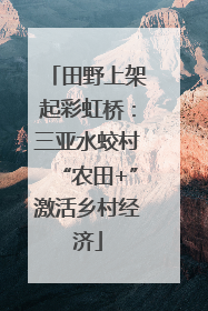 田野上架起彩虹桥：三亚水蛟村“农田+”激活乡村经济