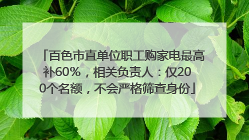 百色市直单位职工购家电最高补60％，相关负责人：仅200个名额，不会严格筛查身份