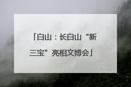 白山：长白山“新三宝”亮相文博会