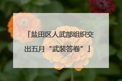 盐田区人武部组织交出五月“武装答卷”