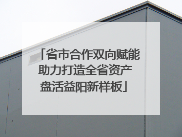 省市合作双向赋能 助力打造全省资产盘活益阳新样板