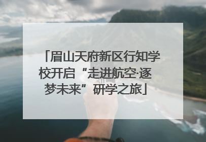 眉山天府新区行知学校开启“走进航空·逐梦未来”研学之旅