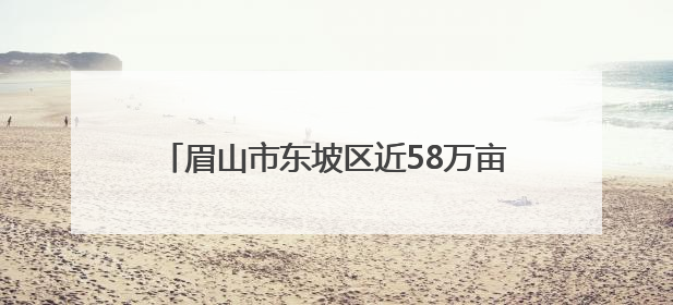 眉山市东坡区近58万亩水稻栽插面积超85%