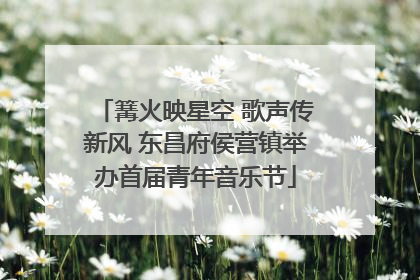 篝火映星空 歌声传新风 东昌府侯营镇举办首届青年音乐节