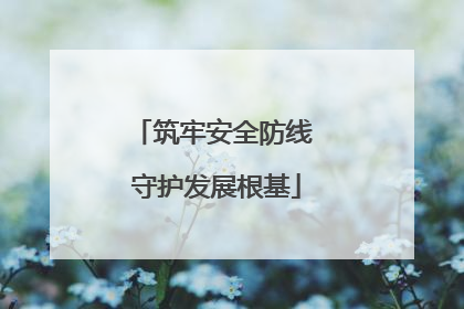 筑牢安全防线 守护发展根基