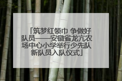 筑梦红领巾 争做好队员——安徽省龙亢农场中心小学举行少先队新队员入队仪式