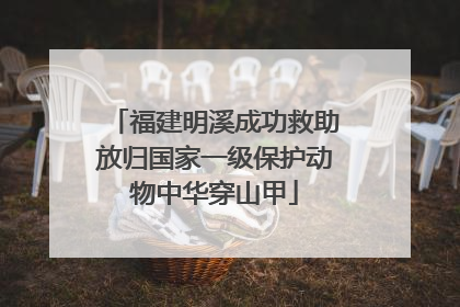 福建明溪成功救助放归国家一级保护动物中华穿山甲
