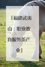 福建武夷山：职业教育服务茶产业
