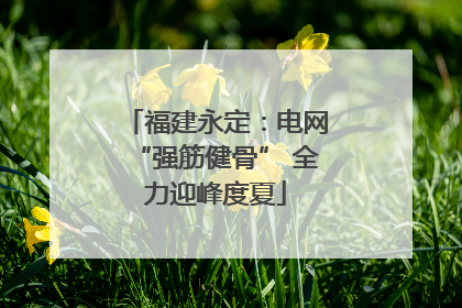 福建永定：电网“强筋健骨” 全力迎峰度夏