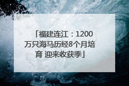 福建连江：1200万只海马历经8个月培育 迎来收获季