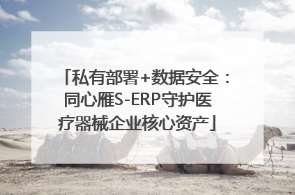 私有部署+数据安全：同心雁S-ERP守护医疗器械企业核心资产