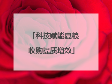 科技赋能夏粮收购提质增效