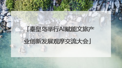 秦皇岛举行AI赋能文旅产业创新发展观摩交流大会