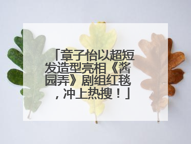 章子怡以超短发造型亮相《酱园弄》剧组红毯，冲上热搜！