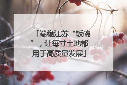 端稳江苏“饭碗”，让每寸土地都用于高质量发展