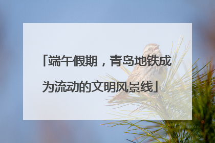 端午假期，青岛地铁成为流动的文明风景线