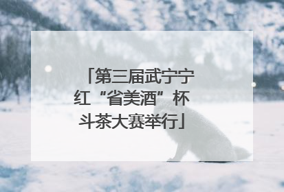 第三届武宁宁红“省美酒”杯斗茶大赛举行