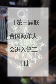 第三届联合国海洋大会进入第二日