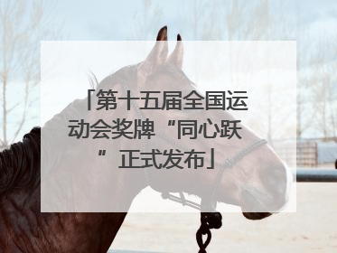 第十五届全国运动会奖牌“同心跃”正式发布