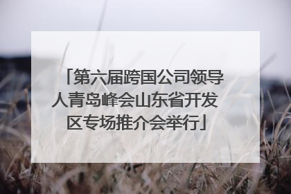 第六届跨国公司领导人青岛峰会山东省开发区专场推介会举行