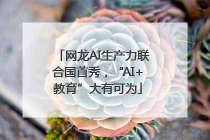 网龙AI生产力联合国首秀，“AI+教育”大有可为