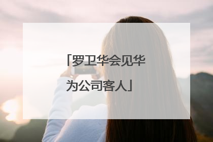 罗卫华会见华为公司客人