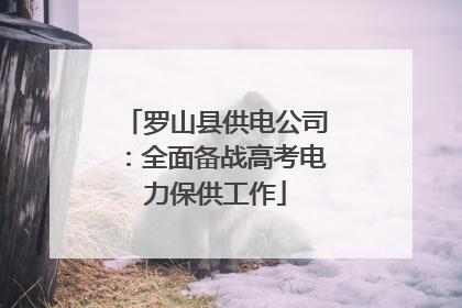罗山县供电公司：全面备战高考电力保供工作