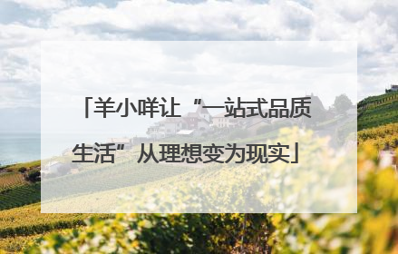 羊小咩让“一站式品质生活”从理想变为现实