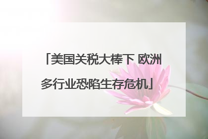 美国关税大棒下 欧洲多行业恐陷生存危机