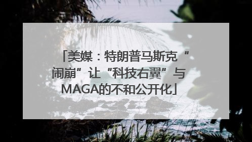 美媒：特朗普马斯克“闹崩”让“科技右翼”与MAGA的不和公开化