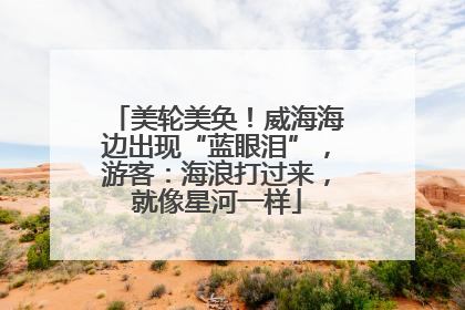 美轮美奂！威海海边出现“蓝眼泪”，游客：海浪打过来，就像星河一样