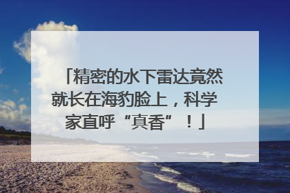 精密的水下雷达竟然就长在海豹脸上，科学家直呼“真香”！