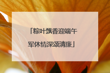 粽叶飘香迎端午 军休情深颂清廉
