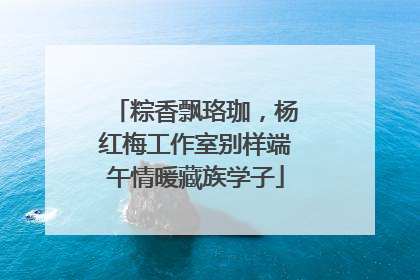 粽香飘珞珈，杨红梅工作室别样端午情暖藏族学子