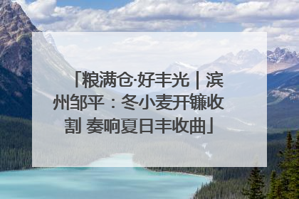 粮满仓·好丰光｜滨州邹平：冬小麦开镰收割 奏响夏日丰收曲