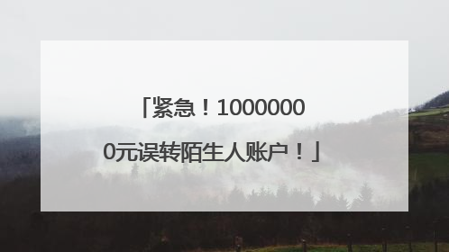 紧急！10000000元误转陌生人账户！