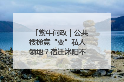 紫牛问政｜公共楼梯竟“变”私人领地？宿迁沭阳不动产登记引质疑