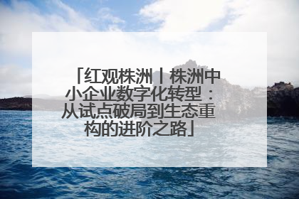 红观株洲丨株洲中小企业数字化转型：从试点破局到生态重构的进阶之路
