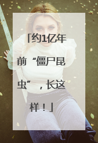 约1亿年前“僵尸昆虫”，长这样！