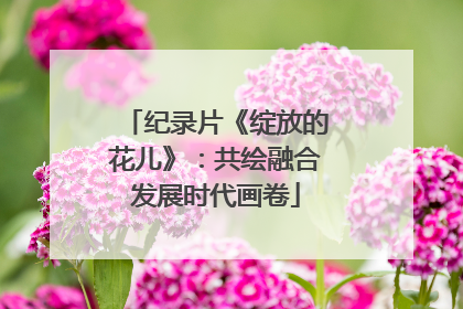 纪录片《绽放的花儿》：共绘融合发展时代画卷