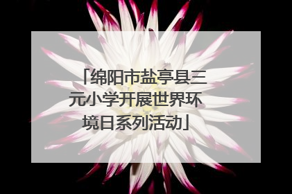 绵阳市盐亭县三元小学开展世界环境日系列活动