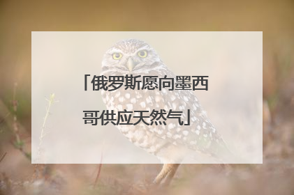 俄罗斯愿向墨西哥供应天然气