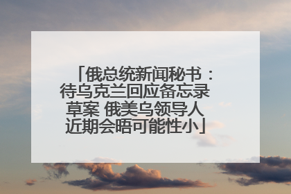 俄总统新闻秘书：待乌克兰回应备忘录草案 俄美乌领导人近期会晤可能性小