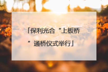 保利光合“上板桥”通桥仪式举行