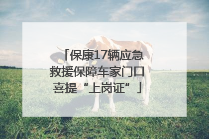 保康17辆应急救援保障车家门口喜提“上岗证”