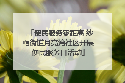 便民服务零距离 纱帽街道月亮湾社区开展便民服务日活动