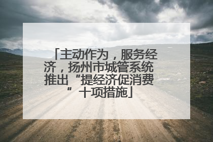 主动作为，服务经济，扬州市城管系统推出“提经济促消费”十项措施