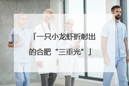 一只小龙虾折射出的合肥“三重光”